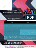 Work Teams & Groups: Cognate 208: HBO