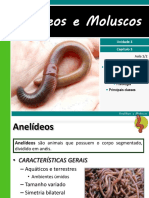 Anelídeos e Molluscos