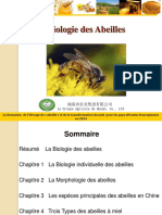 Biologie Des Abeilles