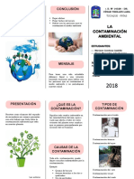 Triptico Contaminación Ambiental