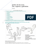 Sistema Digestivo de Las Aves