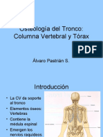 Osteología Del Tronco