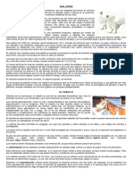 Gallinas y Caballos Texto para Cuadro Comparativo 5°