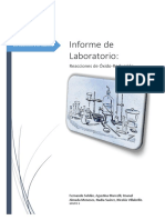 Trabajo Practico de Laboratorio II REDOX