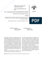 PRP-Fundamento de Su Mecanismo de Acción