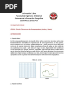 Estructuras de Almacenamiento Vector y Raster