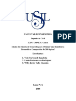 Informe CBC Usil 002 PDF