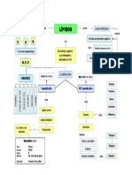 Mapa Conceptual - 3 Lípidos