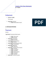 Subclass: Superorder: Taxon:: Taxonomy of The Class Gastropoda