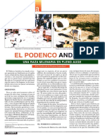 El Podenco PDF