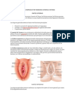 Aparato Reproductor Femenino Externa e Interna