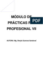 Modulo de Practica Pre Profesiona VII