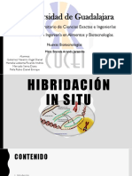 Hibridación in Situ F