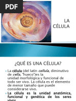 Apunte 12 Fenomenos El Nino y La Nina 80563 20180730 20160622 145207