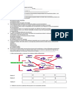 Examen de Recuperacion Grado Septimo