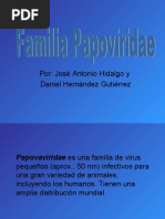 Papovaviridae