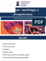 Bacteria Morfologia 1