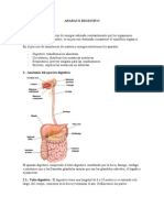 Aparato Digestivo