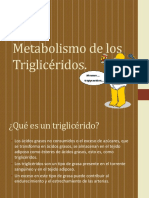 Metabolismo de Los Trigliceridos PDF