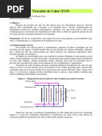 RoteiroTROCADOR PDF