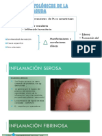 Patrones Morfológicos de La Inflamación Aguda