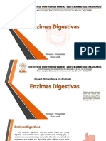 Portifolio Enzimas Digestivas