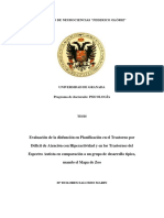 Evaluación de La Disfunción en Planificación en TDAH y TEA MAPA ZOO - 2013