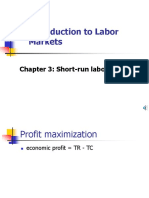 Introduction To Labor Markets: Chapter 3: Short-Run Labor Demand