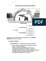 Tipos de Fibras para Shotcrete