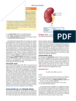 Sistema Renal 