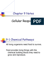 Chapter 9 Notes: Cellular Respiration