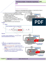 Induction Magn PDF