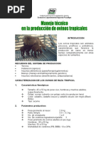 Manejo Técnico en La Produccion de Ovinos Tropicales