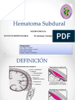 HSD - Expo de Neurocirugia