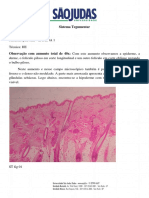 Vitamina D e Cicatrização de Pele