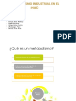 Trabajo de Metabolismo Industrial en El Peru 1