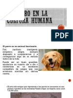 El Perro en La Cultura Humana