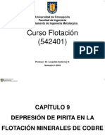 Capitulo 9-Depresion de Pirita en La Flotacion Minerales de Cobre