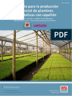 8 Protocolo Producción de Plantines 2008