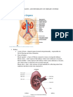 Li 1 Anatomy, Histology, Physiology