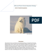 Tundra Ecosystems Paper