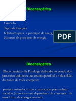 Bioenergetica