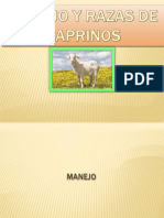 Manejo de Caprinos