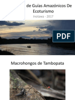 Curso de Guías Amazónicos de Ecoturismo