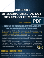 Derecho Internacional de Los Derechos Humanos