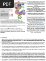 La Neuroarquitectura