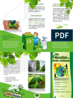 Triptico Del Dia Mundial Del Medio Ambiente