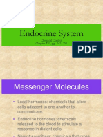 Lecture - Chapter 37 - Endocrine System