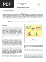 Informe Tinciones