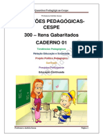 300 Questões Cespe - Pedagógicas